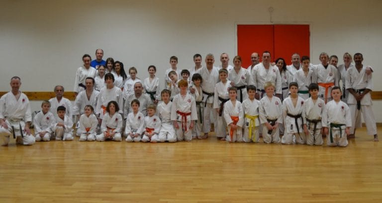 Wantage and Vale Karate Club Image