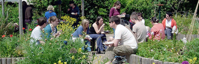 Barracks Lane Community Garden Image